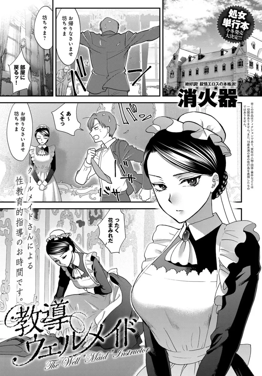 もう何年もお坊ちゃまの専属メイドをやっているが女性に耐性がなくてあまりにも女心がわかっていないので、性教育をして童貞を奪い一から女の扱い方を教えたったｗｗｗｗｗｗｗ