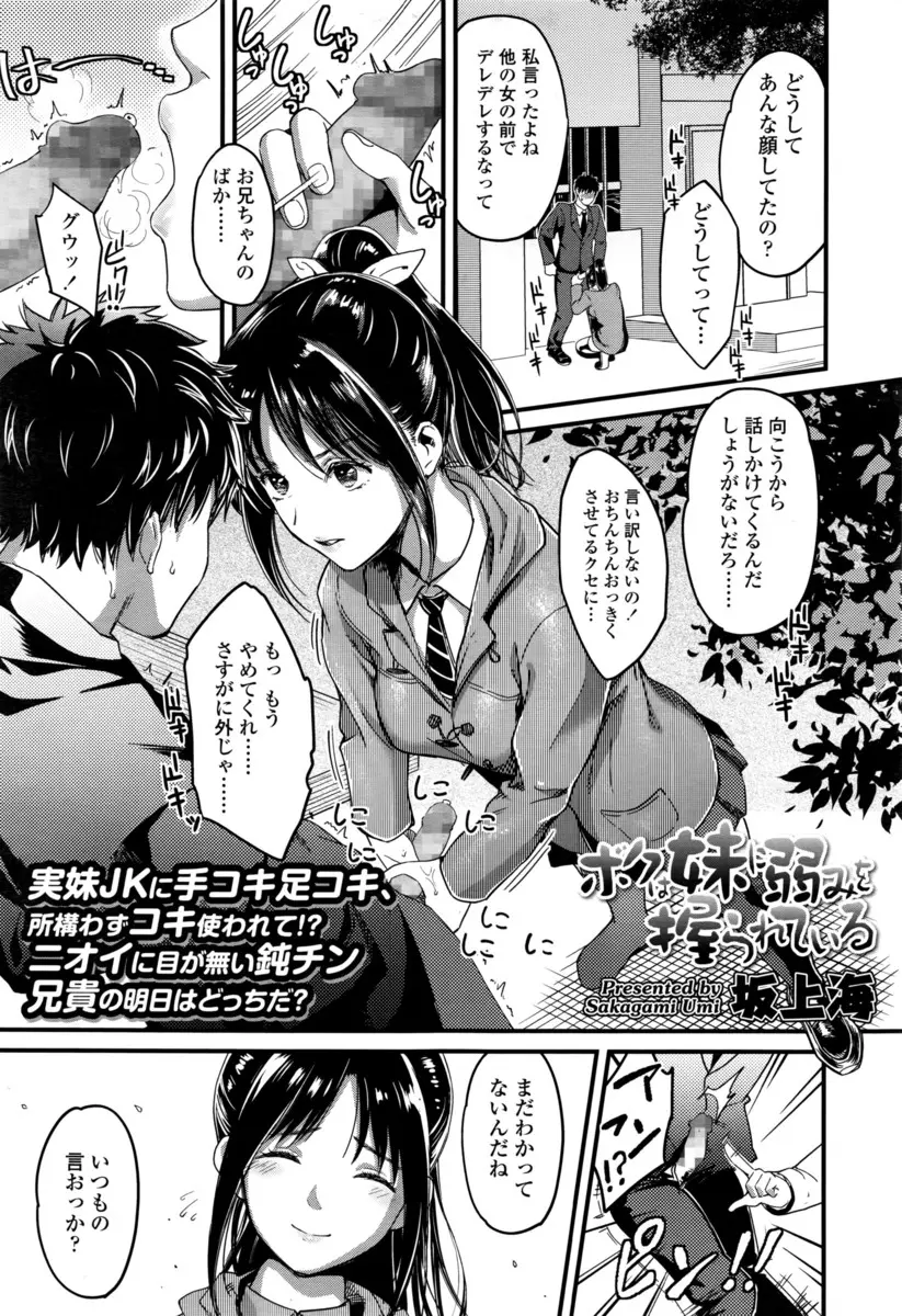 妹の下着でオナニーしてるのを見られてからドSな妹に弄ばれている兄が、ついに暴走した妹に近親逆レイプされてしまう！